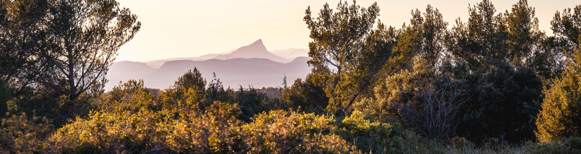 Les Lodges du Lagon campsite, set in the garrigue.