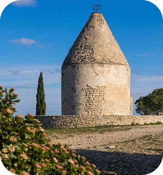 Balade à vélo aux alentours des Lodges du lagon Gard