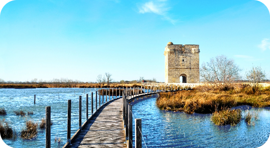 Discover the Camargue, a land of nature and traditions, during your next stay at Les Lodges du Lagon campsite