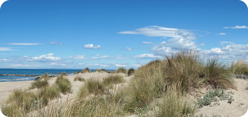 The Espiguette beach in Le Grau du Roi