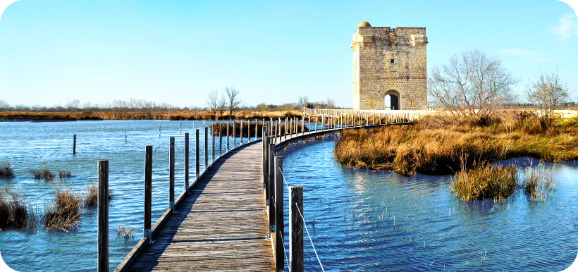 The Carbonnière tower on the road to Aigues-Mortes, a must-see during your stay at Les Lodges du Lagon campsite in the Gard